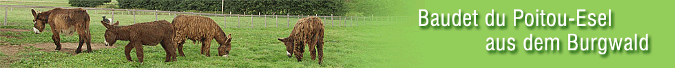 poitout_banner
