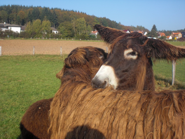 urmel_01